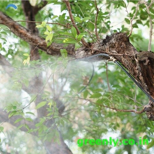 outdoor garden fogging and misting system