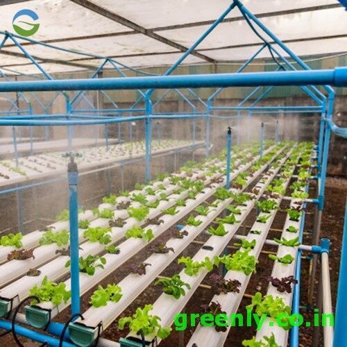 Hydroponic Aeroponic misting system